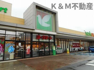 その他　ヨークマート青葉台店まで500m?