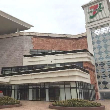 ショッピングセンター　アリオ柏店（ショッピングセンター）まで1013m