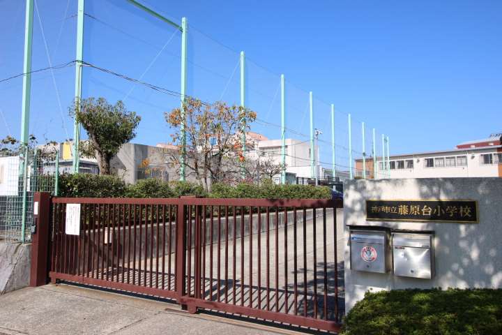 小学校　神戸市立小学校藤原台小学校（小学校）まで428m