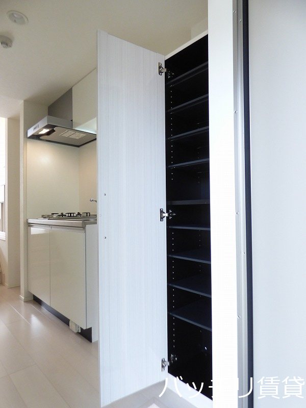 玄関　同型タイプの為、現状を優先いたします。