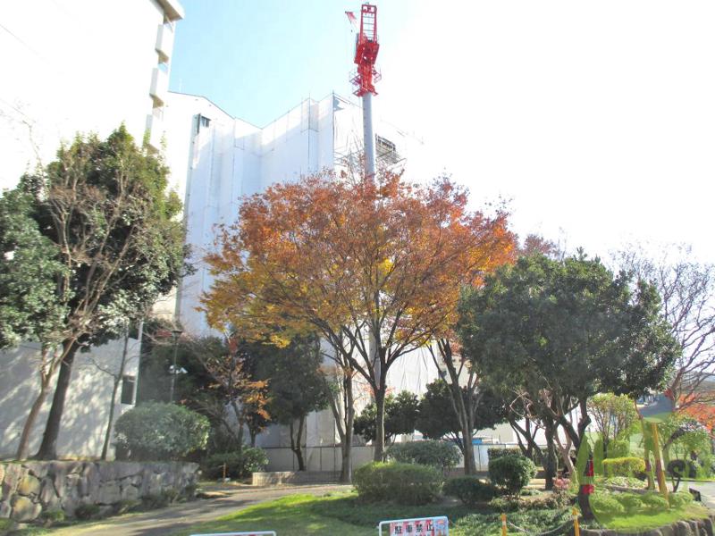 その他　（その他）まで100m