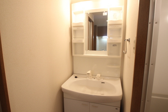 洗面設備　※別号室の写真です
