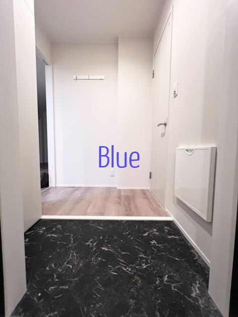 玄関　同じ仕様