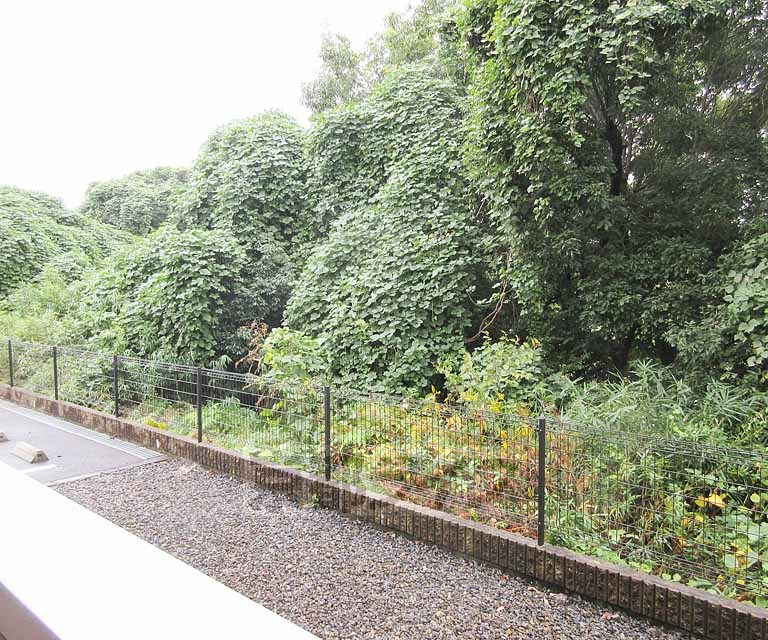 眺望　フォレオがすぐそこ