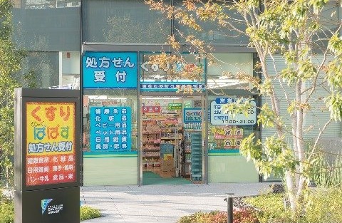 ドラックストア　どらっぐぱぱす新三河島店（ドラッグストア）まで341m