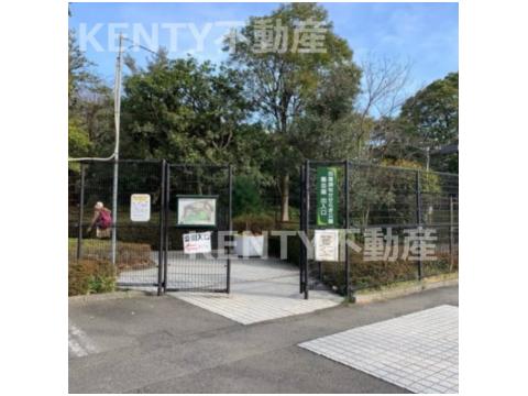 公園　田園調布せせらぎ公園（公園）まで478m