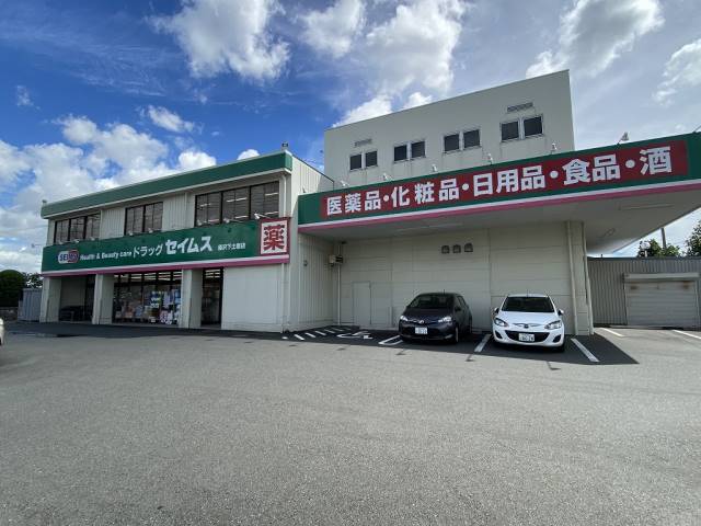 その他　セイムス（その他）まで843m