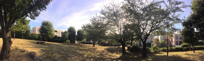 公園　等々力八丁目公園（公園）まで260m