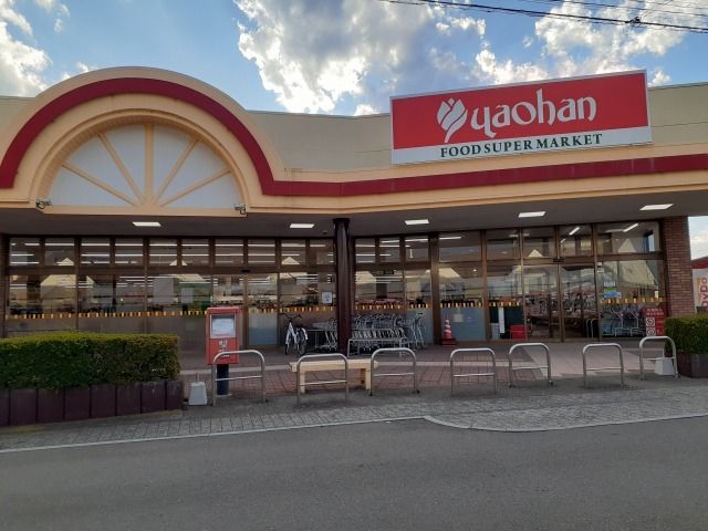 スーパー　ヤオハン壬生店（スーパー）まで1100m