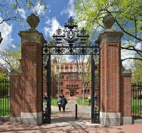 その他　国立一橋大学（その他）まで600m