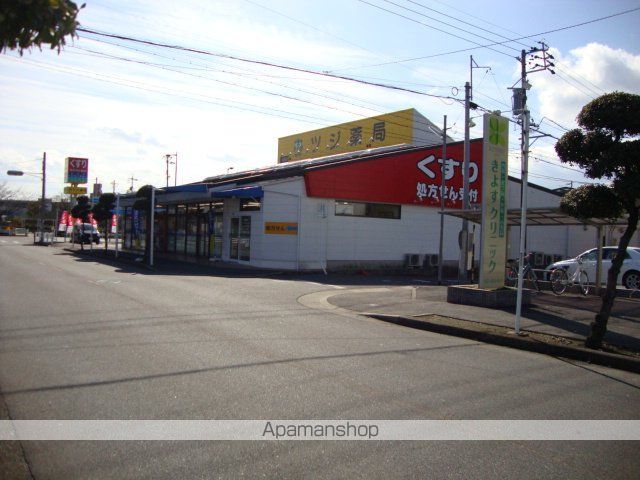 その他　ドラックストア（その他）まで1095m