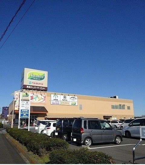 スーパー　ＴＡＩＲＡＹＡ・ダイソー（スーパー）まで1100m