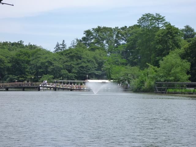 公園　井の頭公園（公園）まで1200m