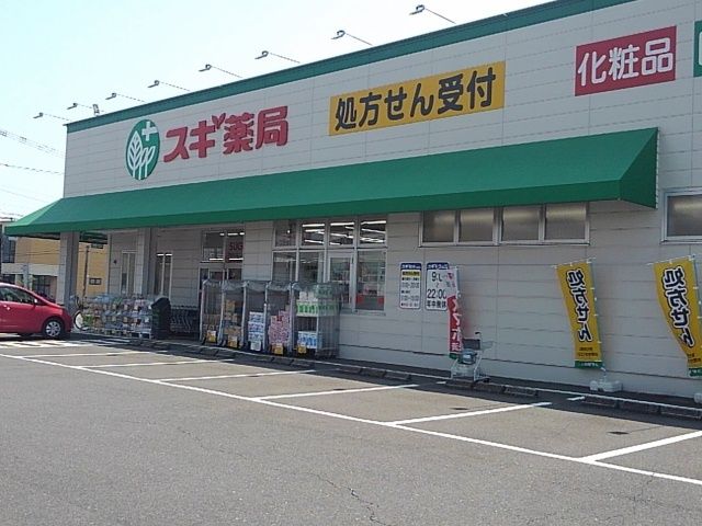 ドラックストア　スギ薬局舟橋店（ドラッグストア）まで950m