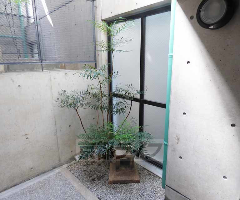 庭