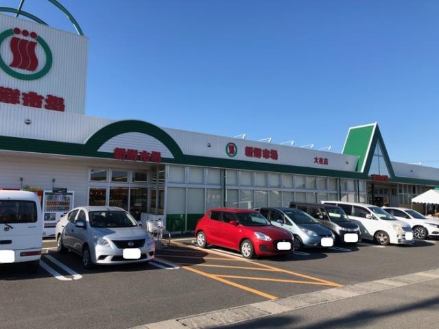 その他　新鮮市場大在店（その他）まで292m