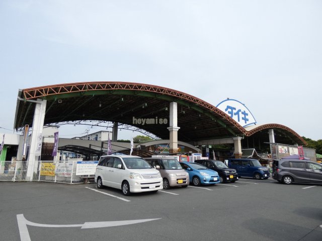 ホームセンター　ＤＣＭペット＆グリーン東町店（ホームセンター）まで1131m