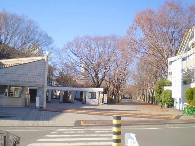 大学・短大　私立城西大学（大学・短大）まで961m