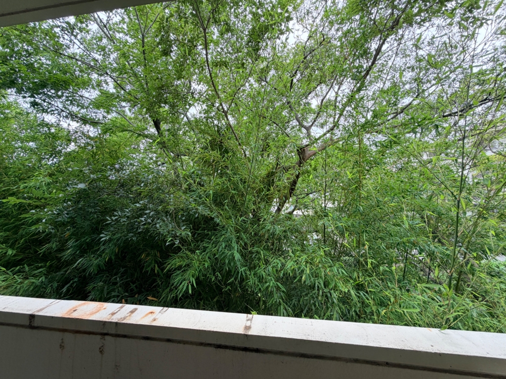 エスト夙川の内装写真