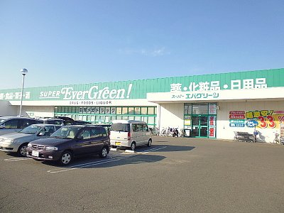 ドラックストア　スーパーエバグリーン泉南店（ドラッグストア）まで366m