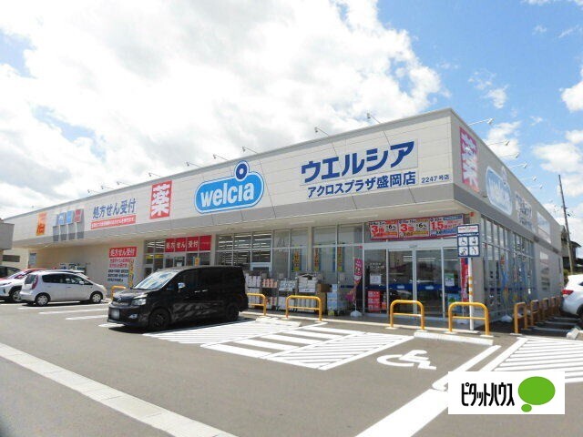 ドラックストア　ウエルシアアクロスプラザ盛岡店（ドラッグストア）まで383m