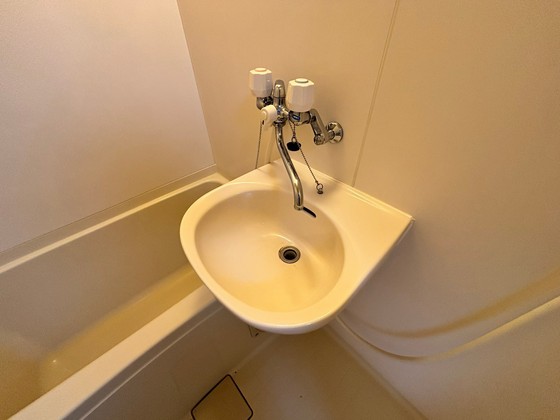洗面設備　※別部屋の写真です