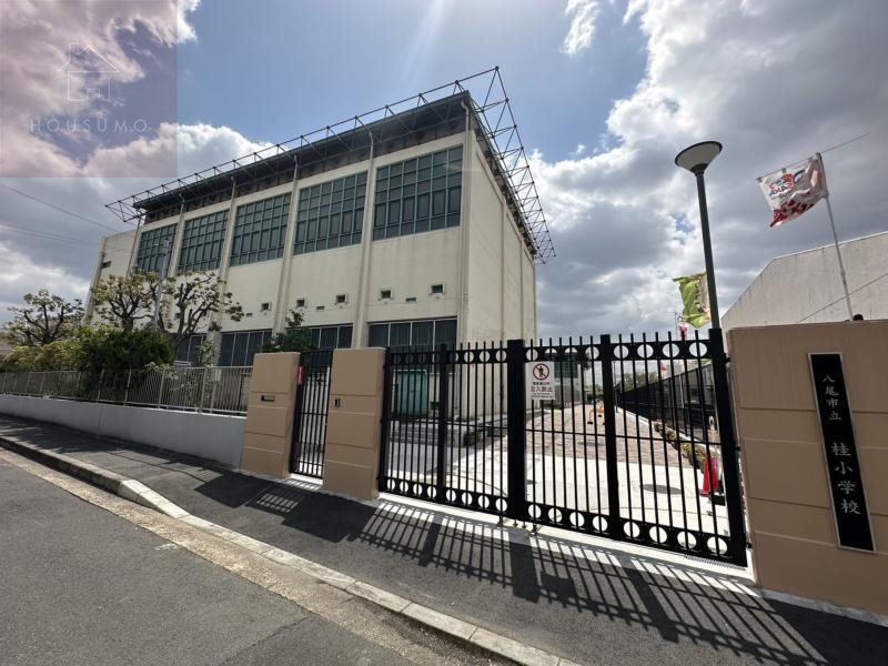 小学校　八尾市立桂小学校（小学校）まで721m