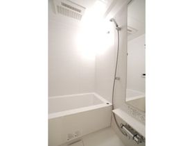 バス・シャワールーム　落ち着いた空間のお風呂です