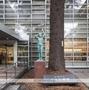 図書館　杉並区立中央図書館（図書館）まで315m