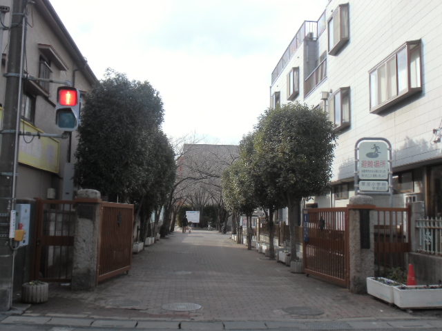 小学校　草加市立 草加小学校（小学校）まで461m