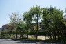 公園　仲池公園（公園）まで388m