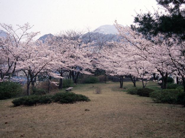 公園　東山公園（公園）まで330m