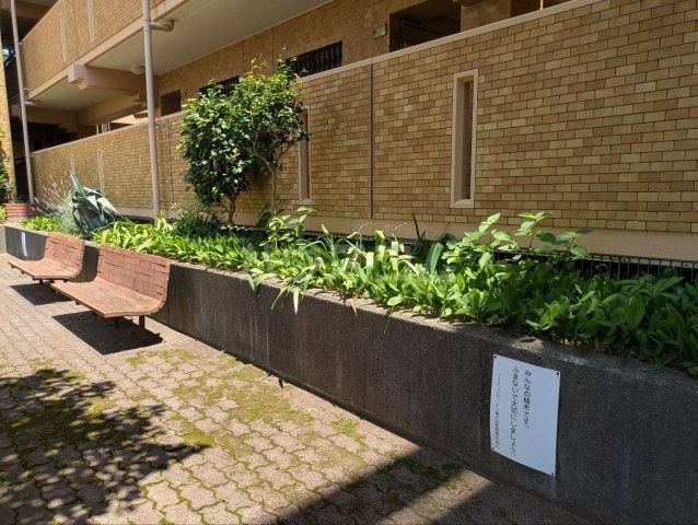 庭