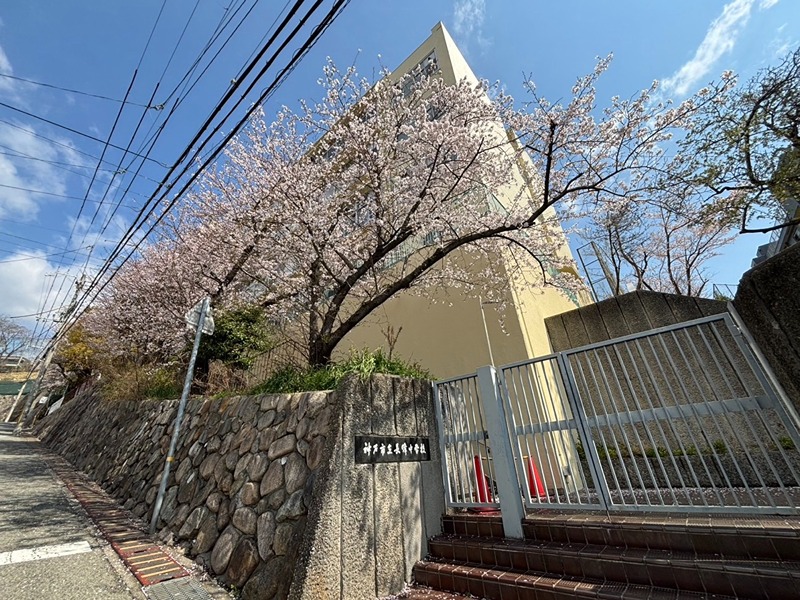 中学校　長峰中学校（中学校）まで687m