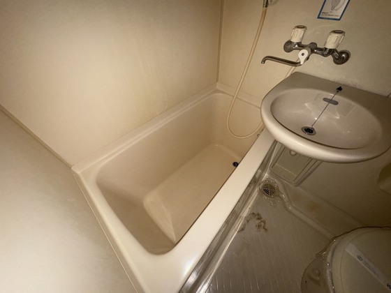 バス・シャワールーム　※別部屋の写真です
