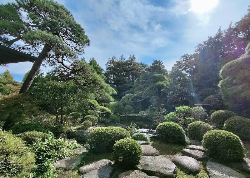公園　柴又公園（公園）まで260m