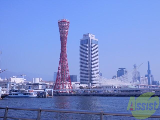 中学校　神戸市立小部中学校（中学校）まで695m