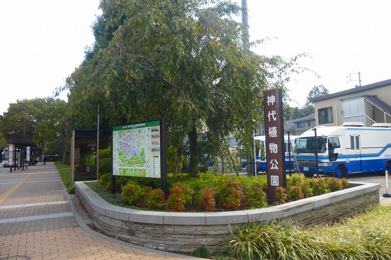 公園　神代植物公園（公園）まで122m