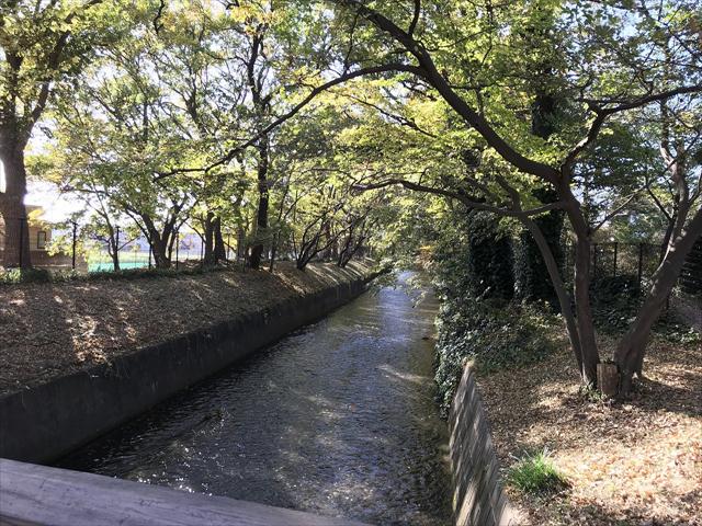 その他　玉川上水（その他）まで2741m