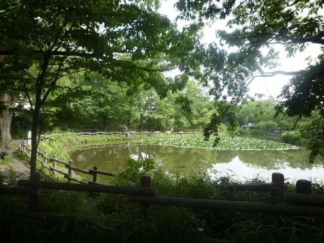公園　★★菊名池公園（公園）まで490m