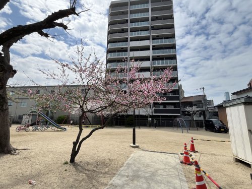公園　桑津公園（公園）まで750m