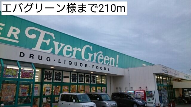 スーパー　エバグリーン様（スーパー）まで210m