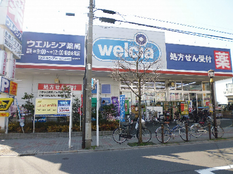 ドラックストア　ウエルシア板橋赤塚店（ドラッグストア）まで222m