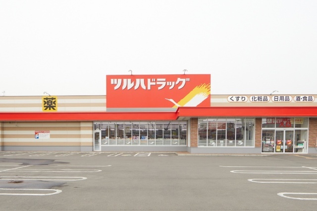 ドラックストア　ツルハドラッグ平和通店（ドラッグストア）まで738m