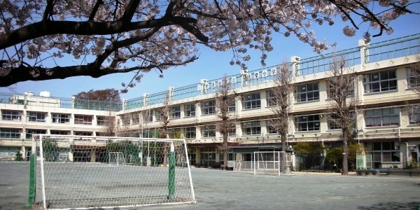 小学校　世田谷区立経堂小学校（小学校）まで562m