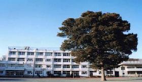 中学校　世田谷区立緑丘中学校（中学校）まで1030m
