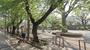 公園　上落合西公園（公園）まで255m