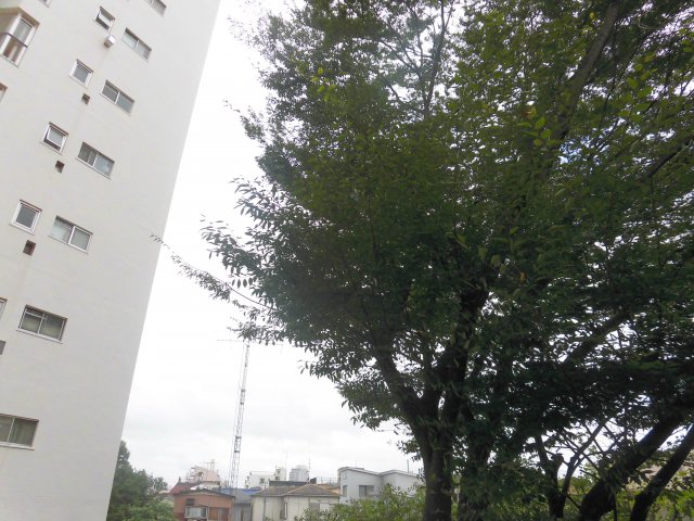 眺望　EXAM大井町ゼームス坂（エグザム大井町ゼームス坂）