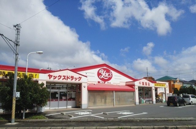 ドラックストア　ヤックス富里店（ドラッグストア）まで1000m