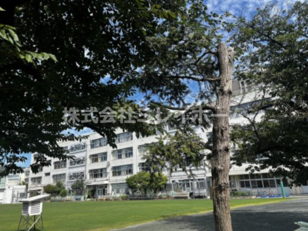 小学校　新宿小学校（小学校）まで244m